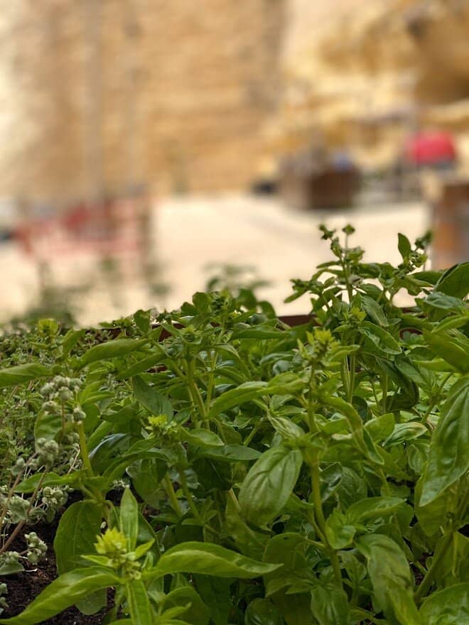 Kid-Friendly Pizza Making