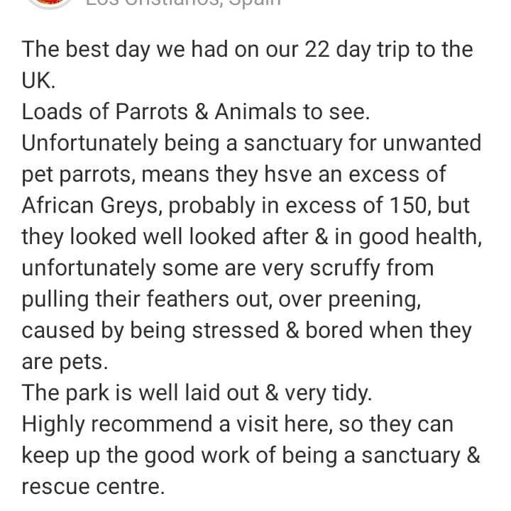 Interactive Aviaries
