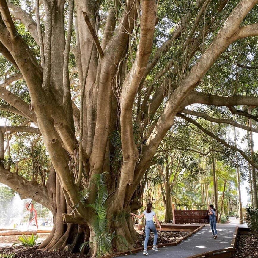 Orchard Views & Long Lunches