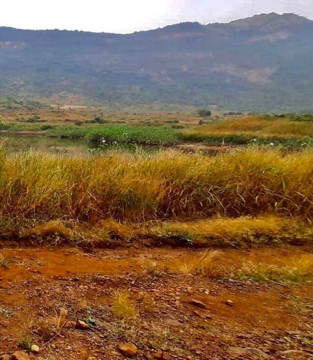 Off-Roading Trails