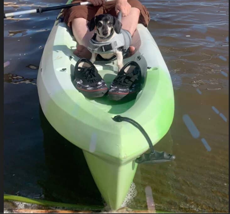 Scenic Drives & Photography