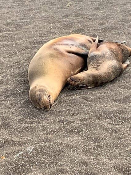 Lunar-like Landscape