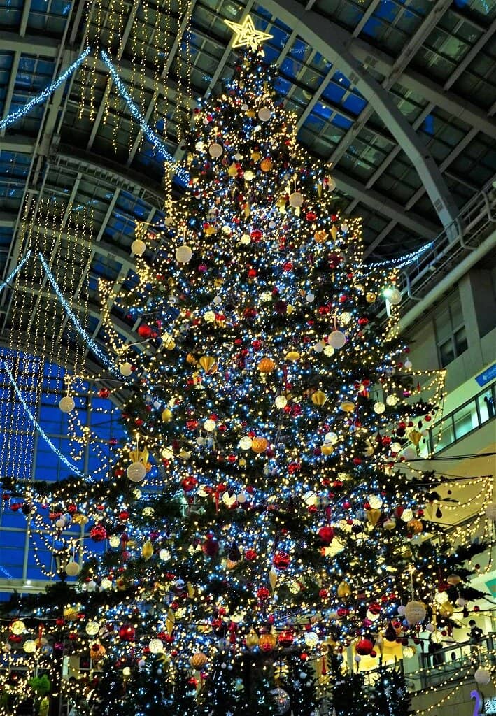 Indoor Greenery & Gardens