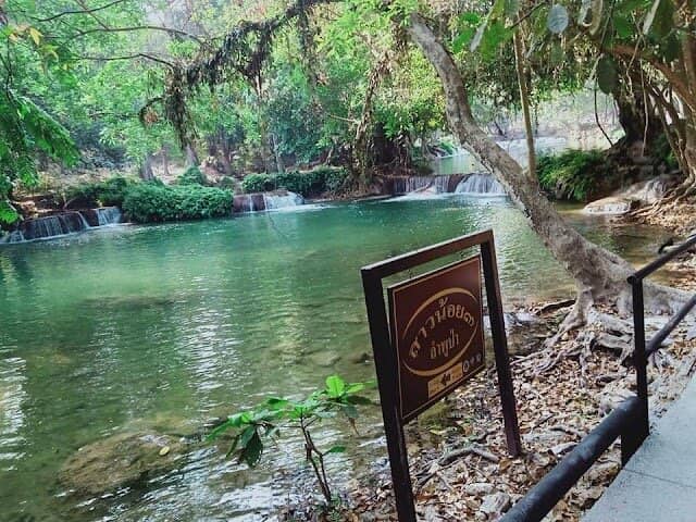 Shaded Forest Trails