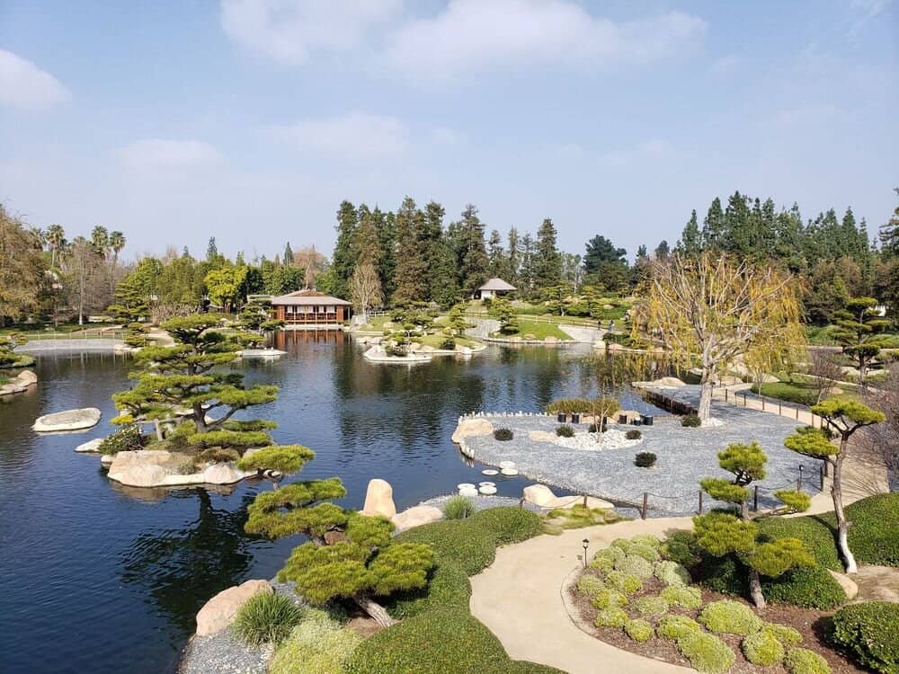 Vibrant Artificial Reef Cubes