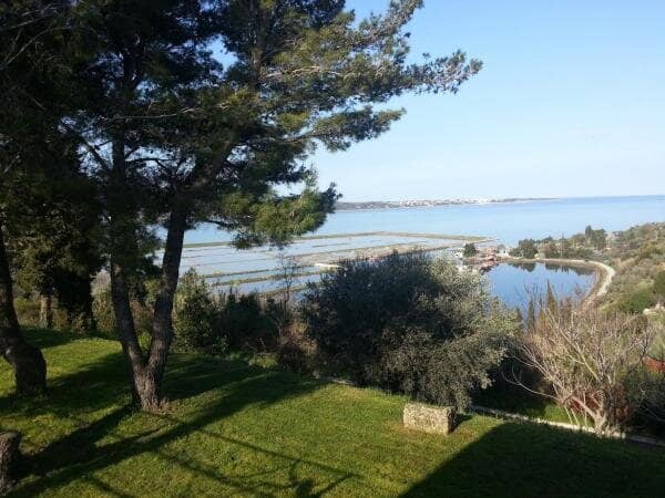 Scenic Coastal Views