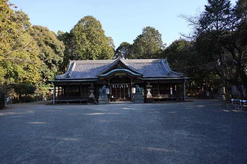 Spring Cherry Blossoms
