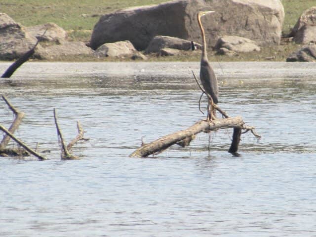Nature Trekking Experience