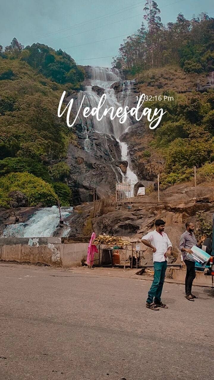 Misty Hills & Tea Plantations