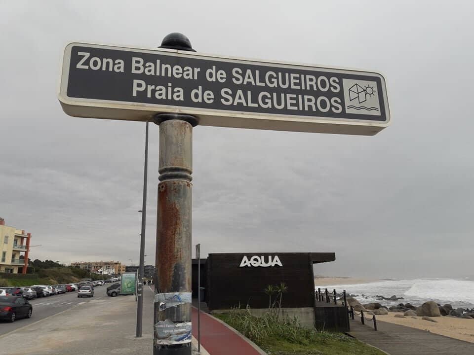 Sandy and Stony Shores