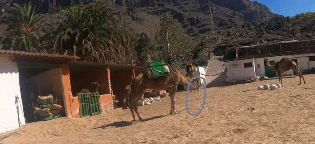 Delicious BBQ Dining