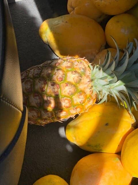 Fresh Produce Paradise