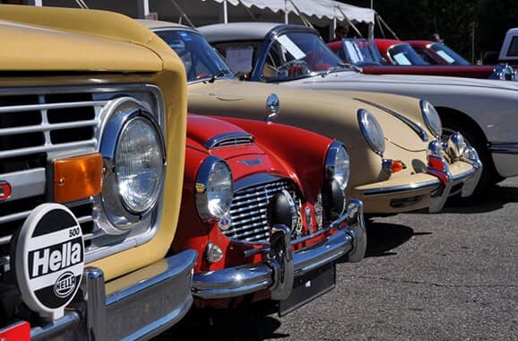 Special Events & Auctions