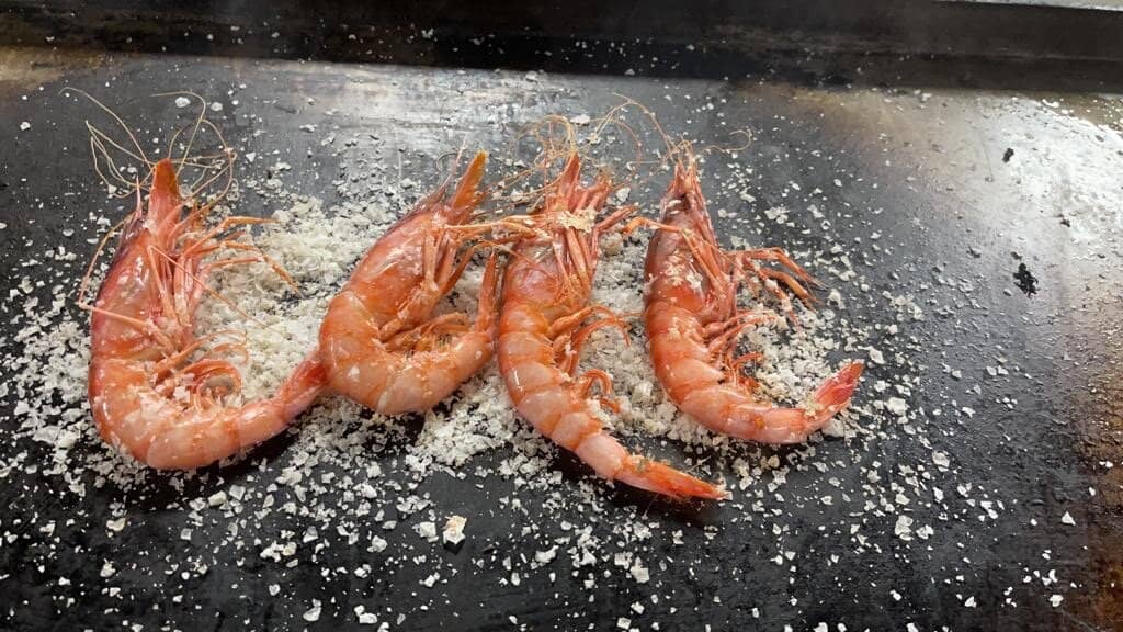 Charming Terrace Ambiance