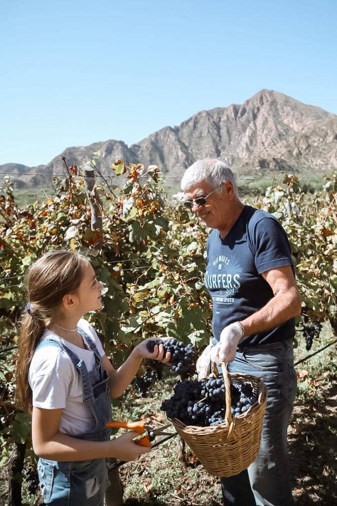 Wine Tasting Experience