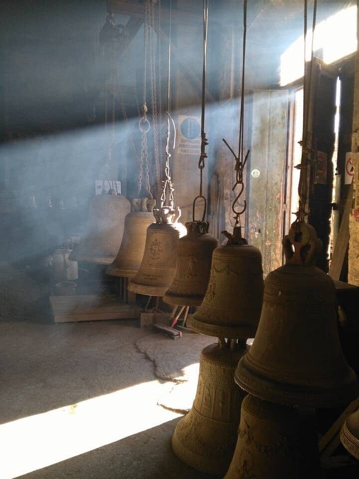 The Bell Museum