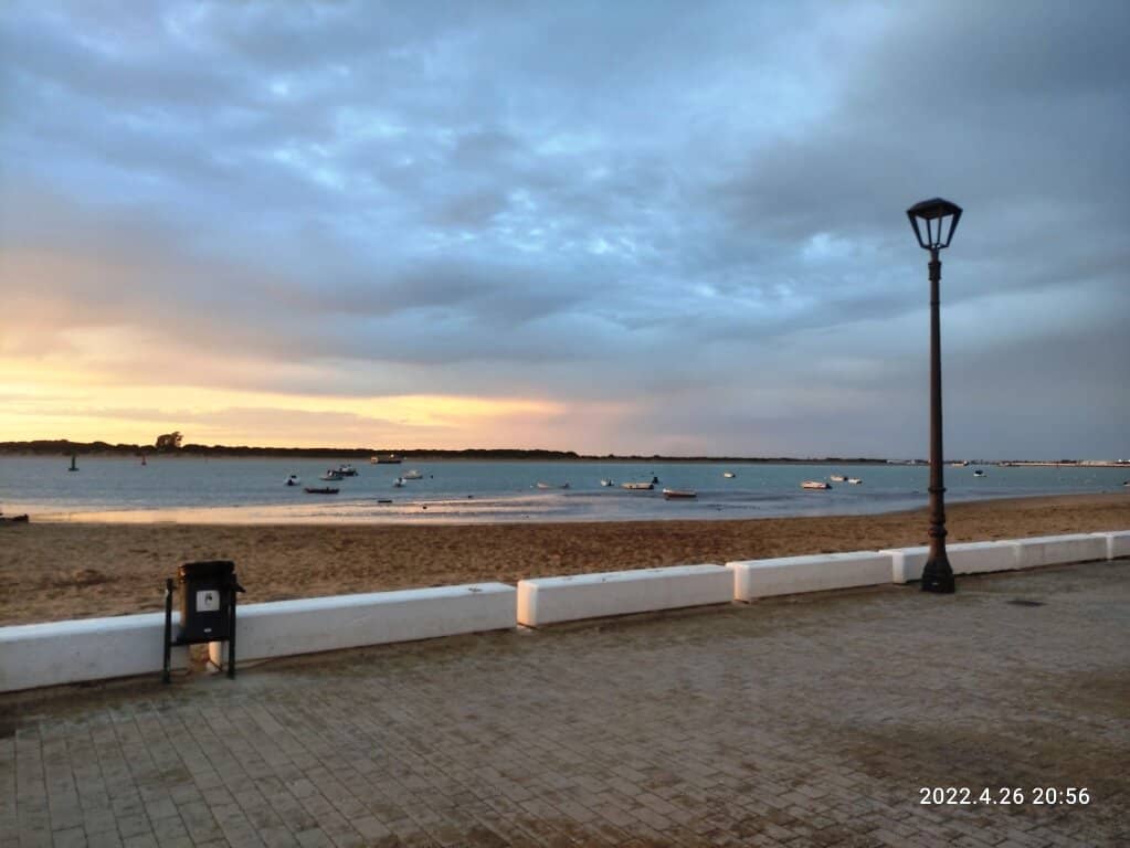Horse Racing on the Beach