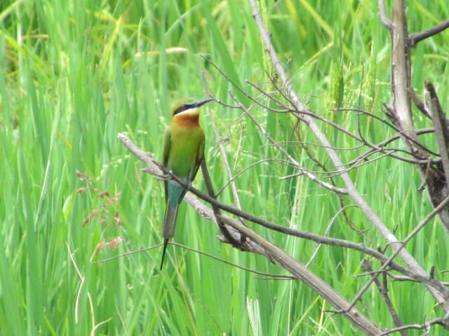 Peaceful Picnic Spot
