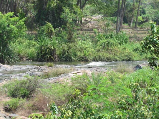 The Cascading Waters