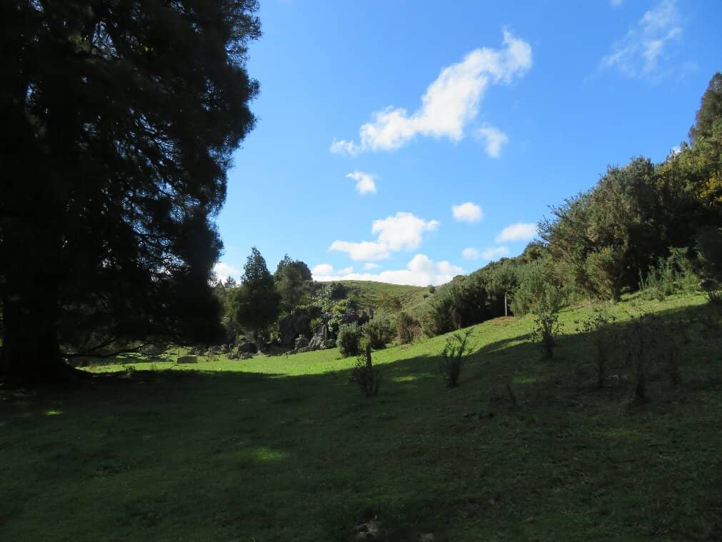 Limestone Gorge Walk