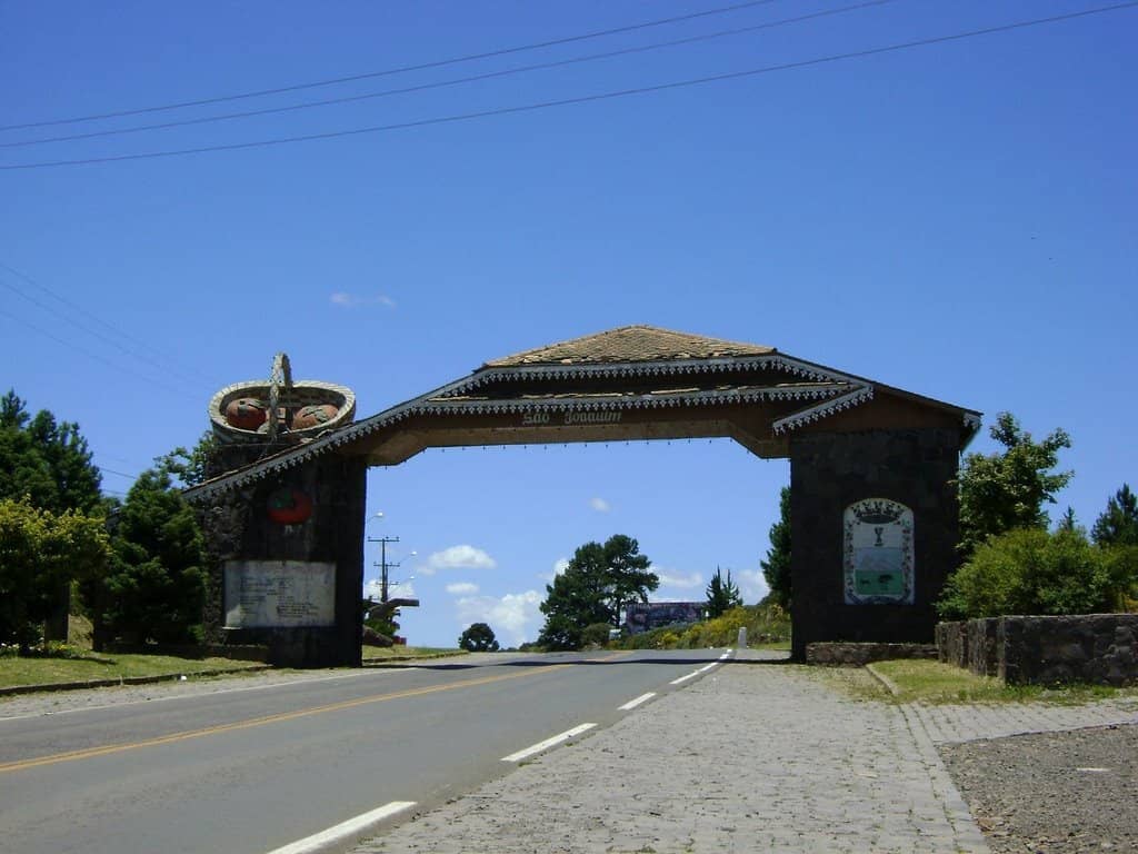 Vertical photo