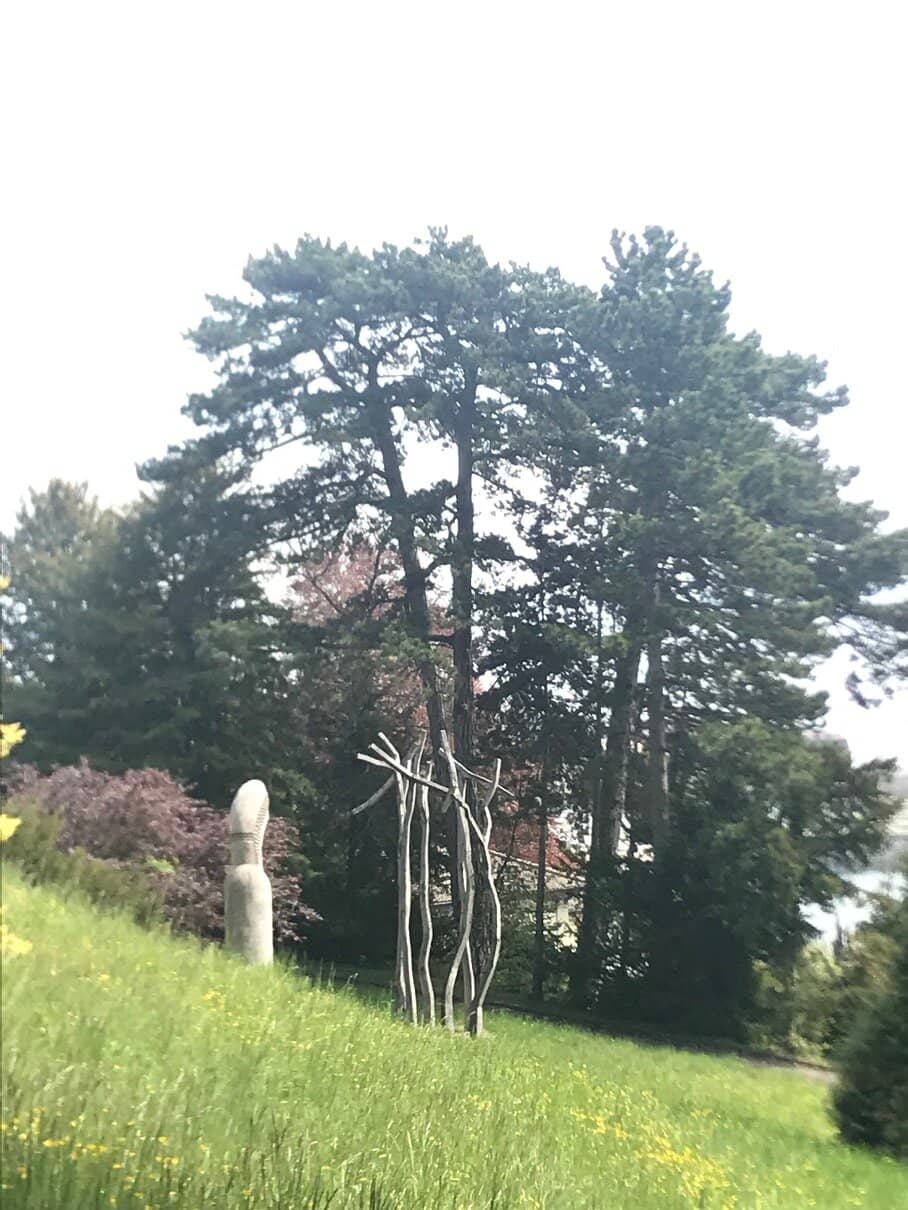 Vertical photo