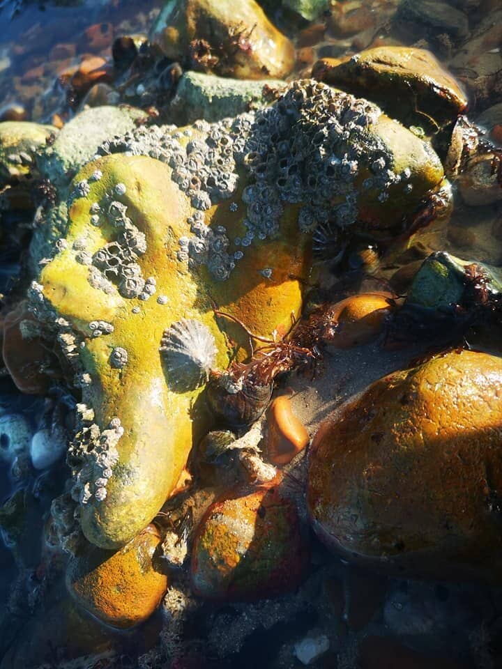 Shallow, Gentle Waters