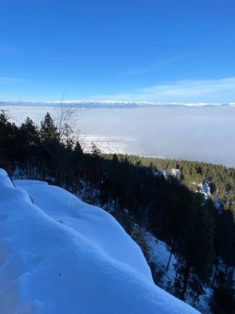 Horseback Riding Opportunities