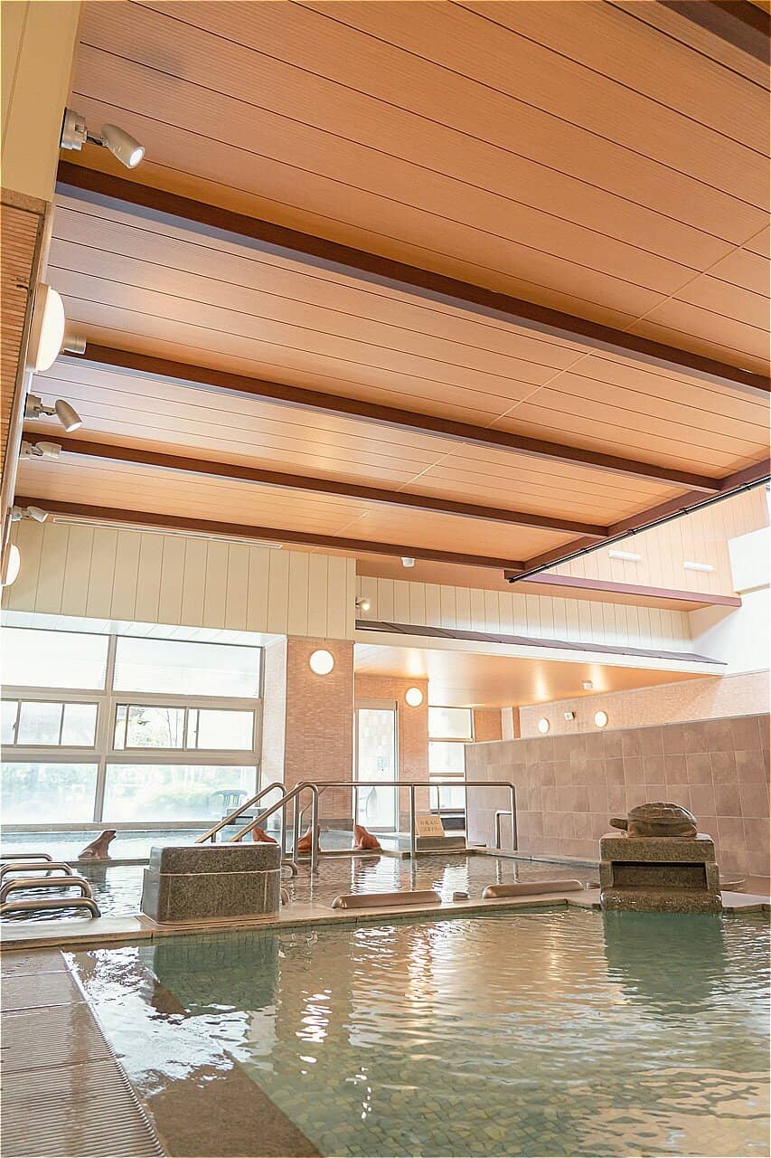 Rooftop Japanese Garden