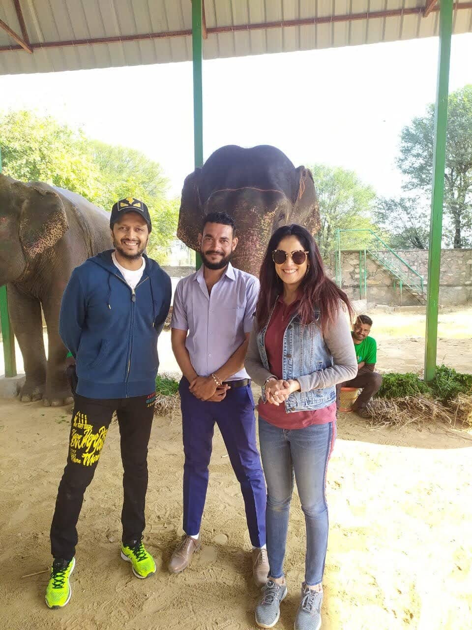Walking with Elephants