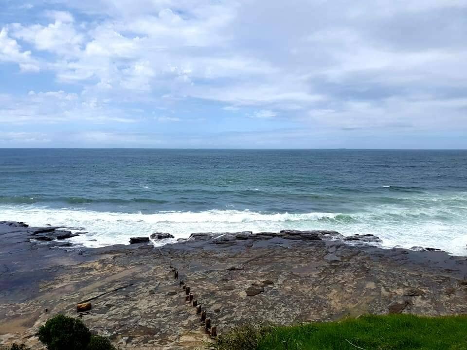 Whale & Dolphin Watching