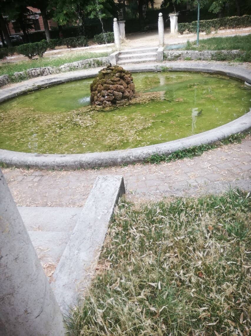 Unexpected Local Charm