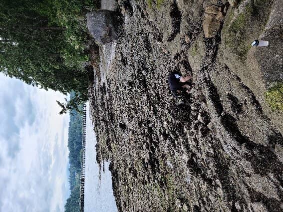 Beach Access & Views