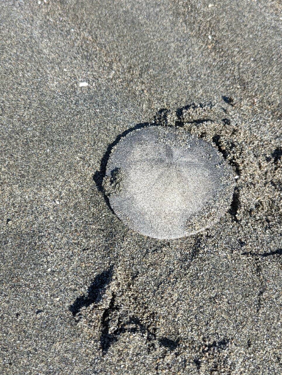 Panoramic Mountain Views