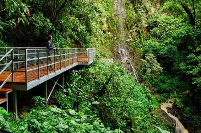 Farm-to-Table Restaurant