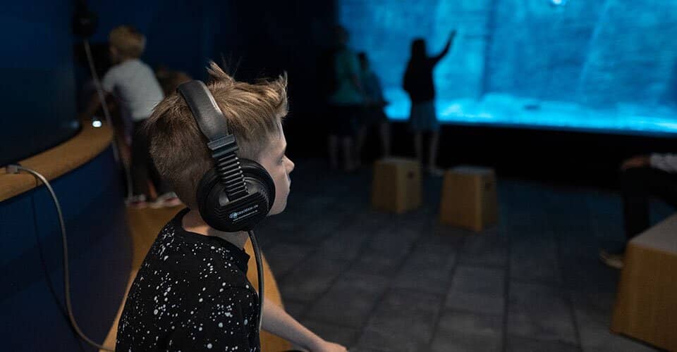 Interactive Touch Pools