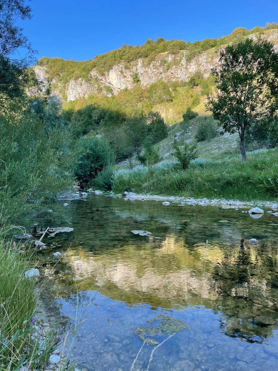 Vertical photo