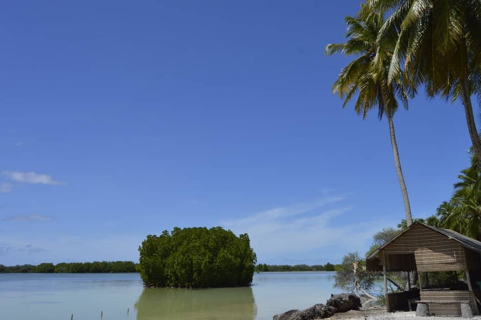 Scenic Coastal Walks