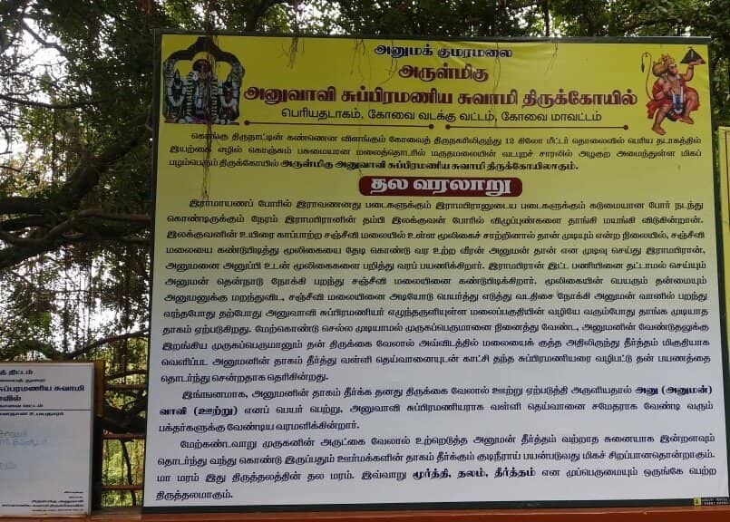 Giant Anjaneya Statue