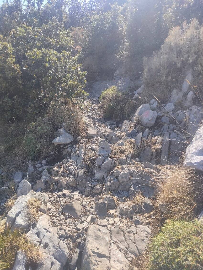 Wildlife Spotting Opportunities