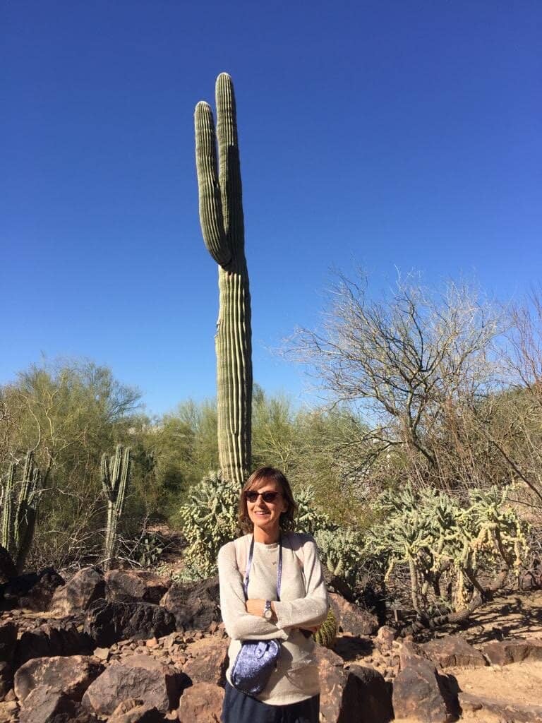 Vertical photo