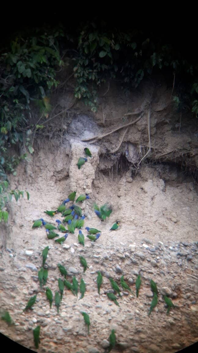 Diverse Wildlife Encounters