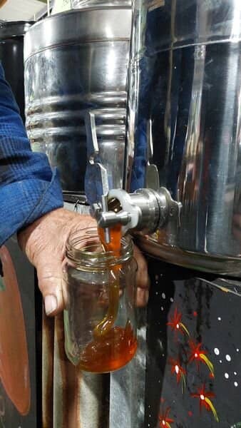 Live Music & Entertainment