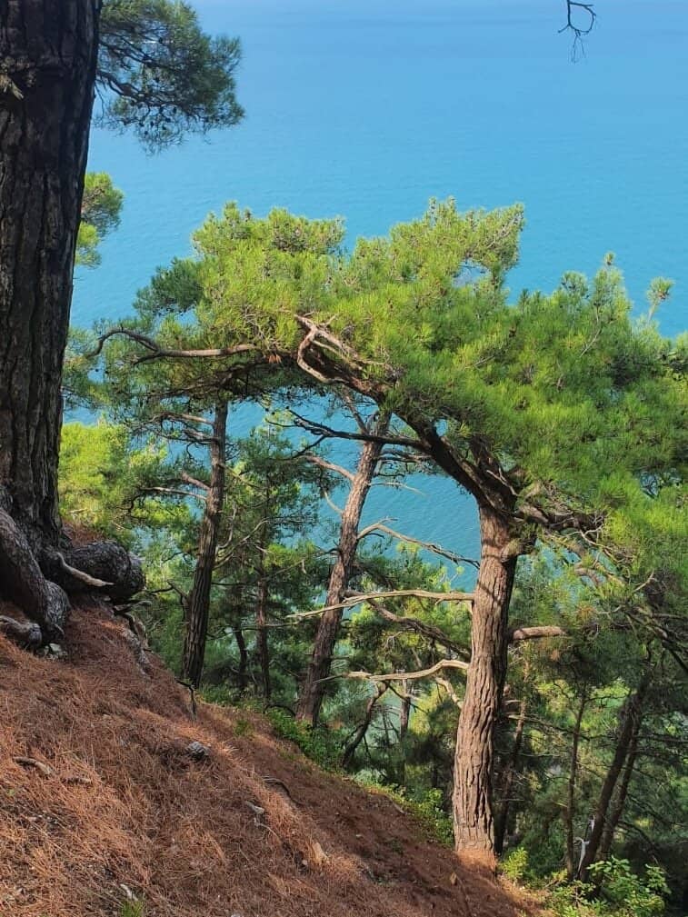 Vertical photo