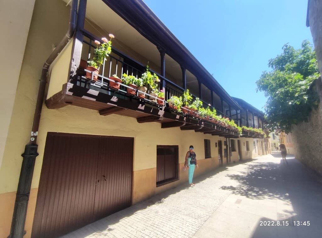 Evening Illumination