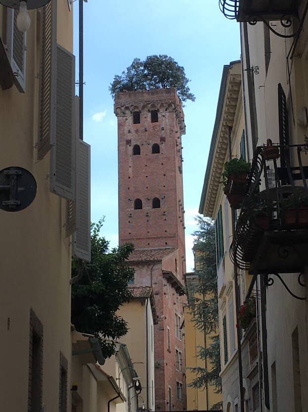 Vertical photo