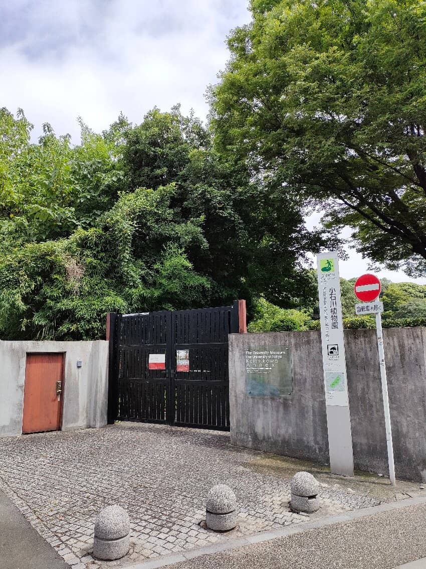 Architectural Models