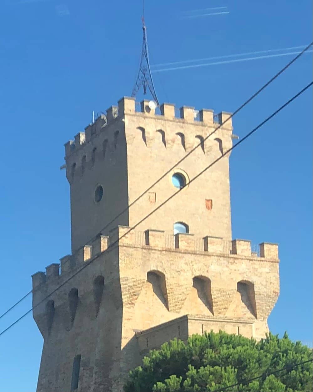 Vertical photo