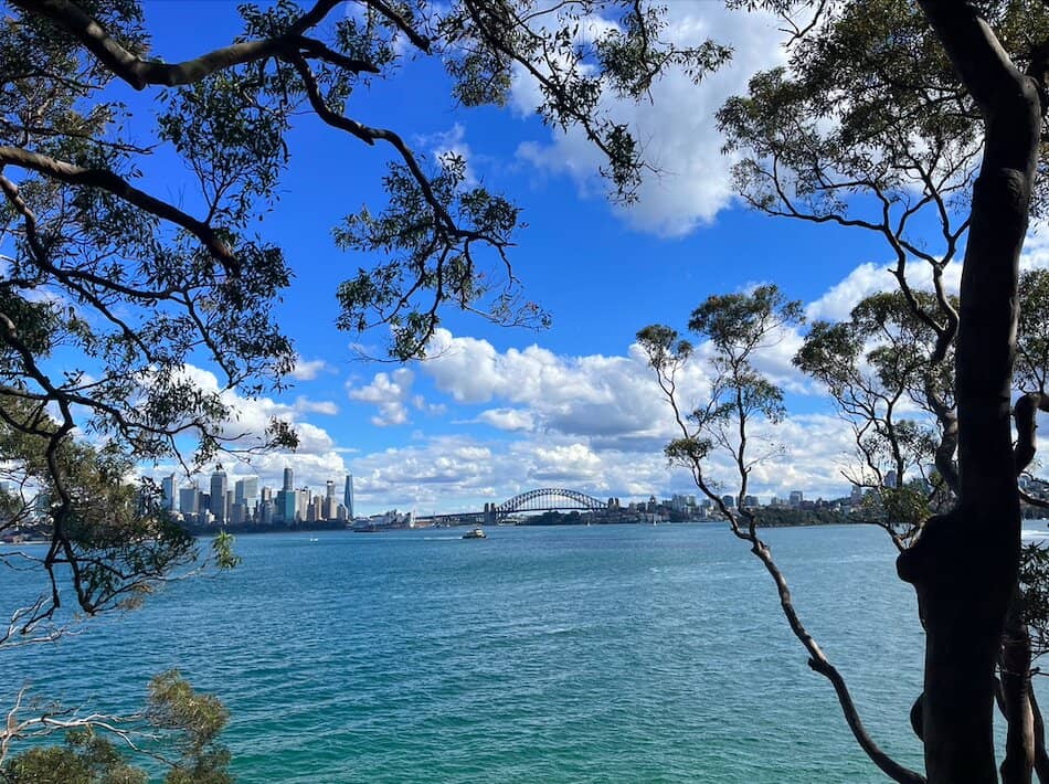 Tranquil Picnic Spots