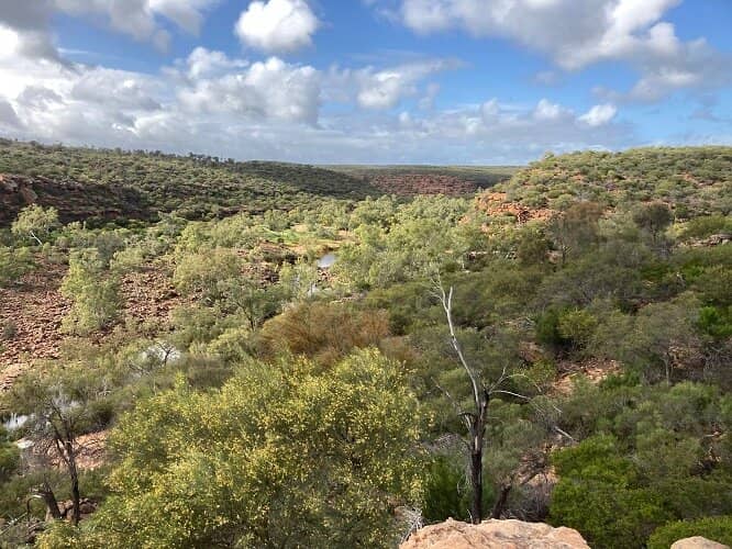 Hawks Head Lookout